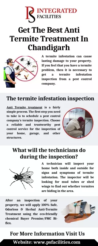 Get The Best Anti Termite Treatment In Chandigarh