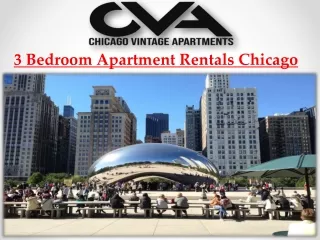 3 Bedroom Apartment Rentals Chicago
