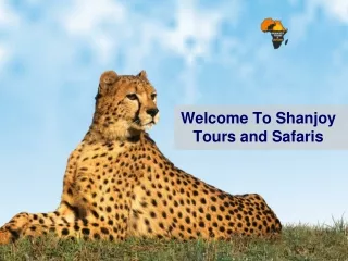 Welcome to Shanjoy Tours and Safaris