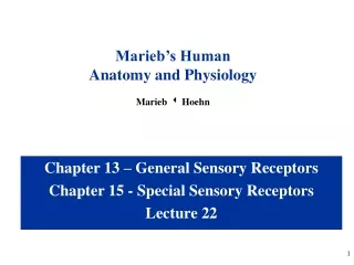 Chapter 13 – General Sensory Receptors Chapter 15 - Special Sensory Receptors Lecture 22