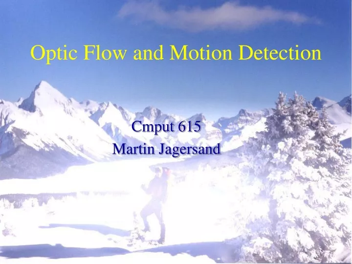 optic flow and motion detection