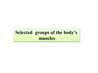 Selected  groups of the body’s  muscles