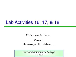 Lab Activities 16, 17, &amp; 18
