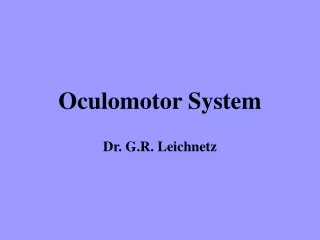Oculomotor System
