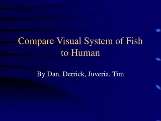 Compare Visual System of Fish to Human