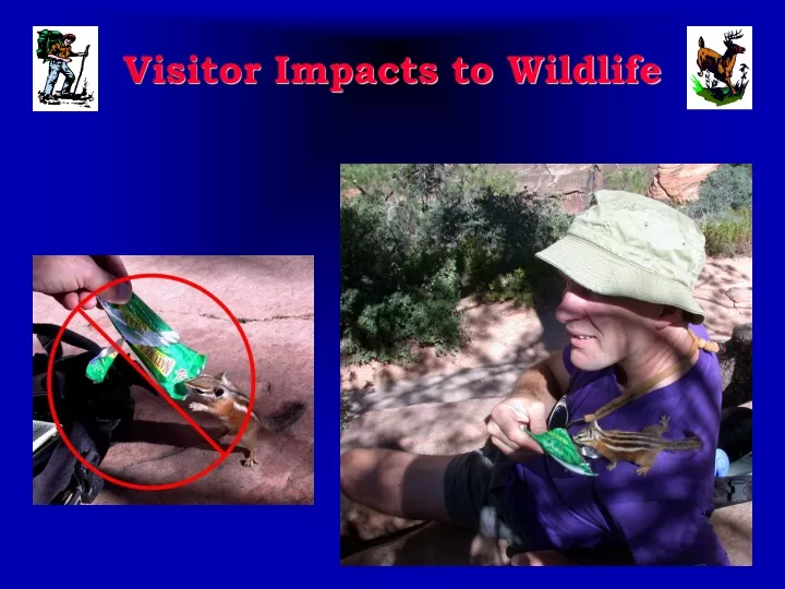 visitor impacts to wildlife