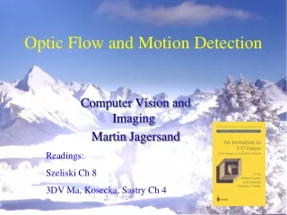 Optic Flow and Motion Detection