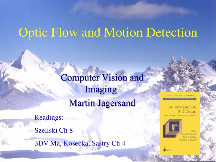 optic flow and motion detection