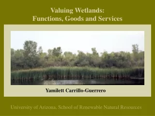 Valuing Wetlands: Functions, Goods and Services