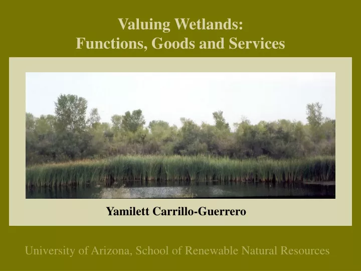 valuing wetlands functions goods and services