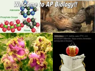 Welcome to AP Biology!!