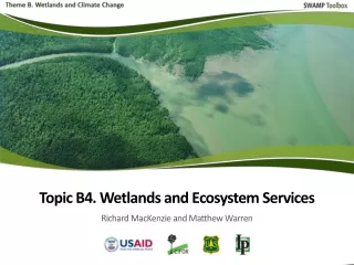 Introduction Extent of global wetland coverage Definition of ecosystem service