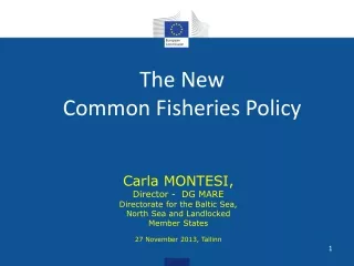 The New  Common Fisheries Policy