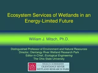 Ecosystem Services of Wetlands in an Energy-Limited Future