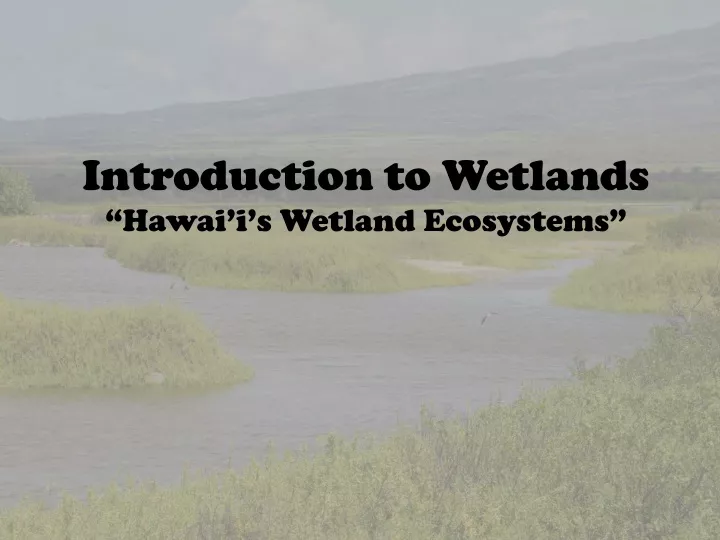 introduction to wetlands hawai i s wetland
