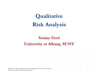 Qualitative  Risk Analysis Sanjay Goel University at Albany, SUNY