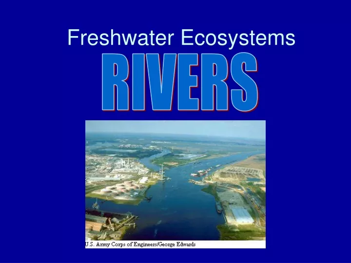 freshwater ecosystems