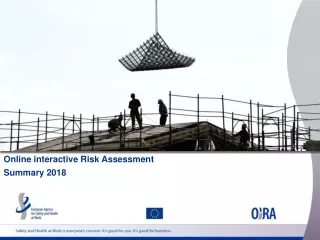 Online interactive Risk Assessment Summary 2018