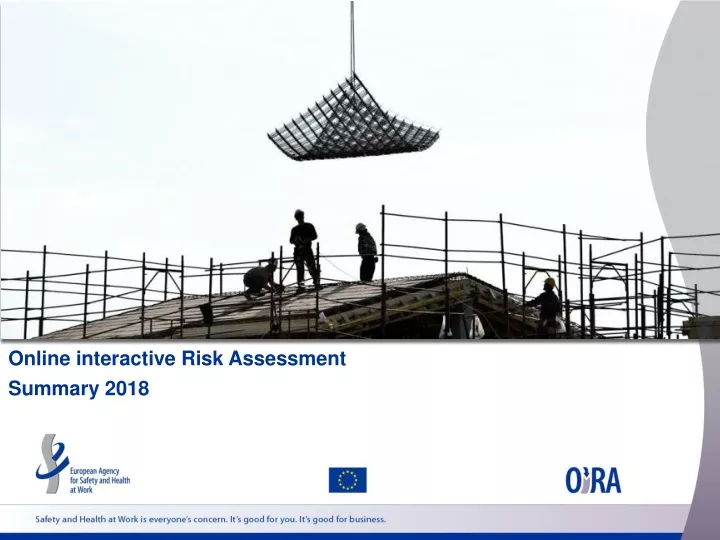 online interactive risk assessment summary 2018