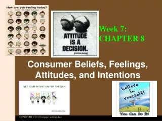 Consumer Beliefs, Feelings, Attitudes, and Intentions