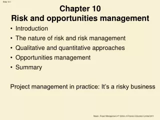 Chapter 10  Risk and opportunities management