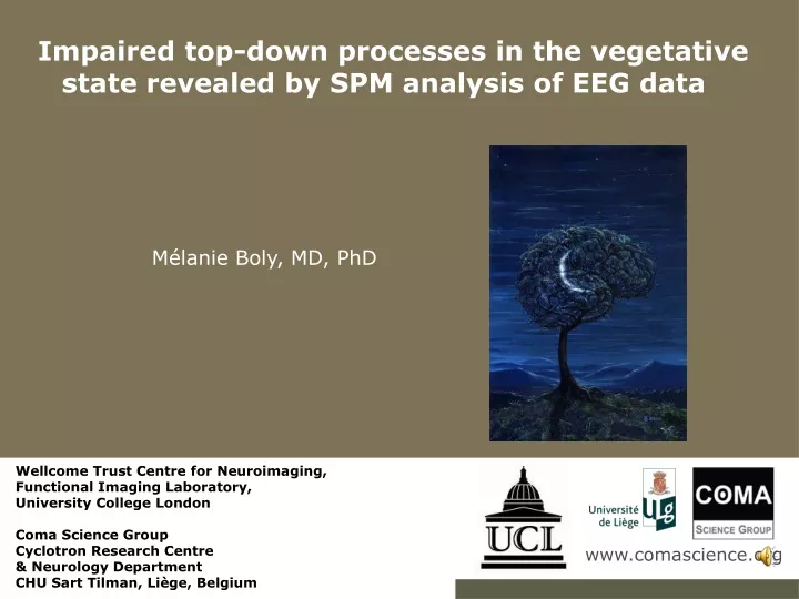 impaired top down processes in the vegetative state revealed by spm analysis of eeg data