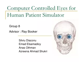 Computer Controlled Eyes for Human Patient Simulator