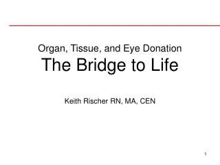 Organ, Tissue, and Eye Donation The Bridge to Life
