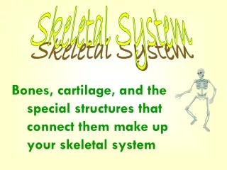 Bones, cartilage, and the special structures that connect them make up  your skeletal system