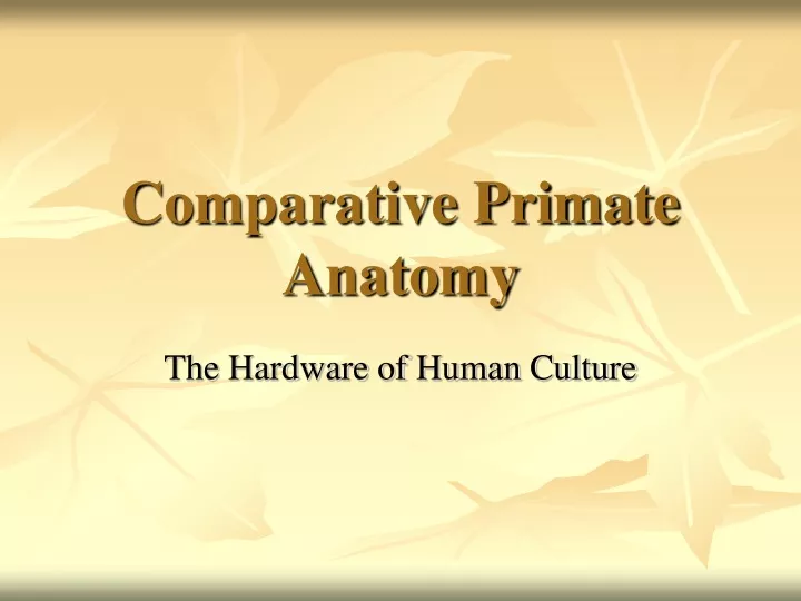 comparative primate anatomy
