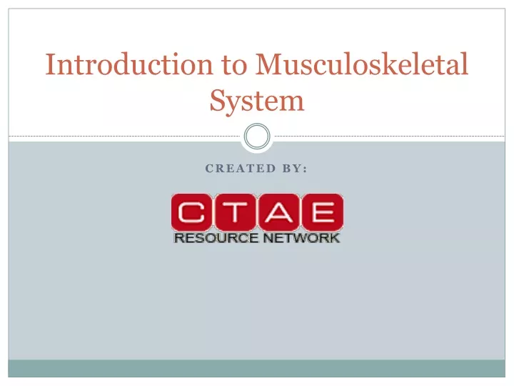 introduction to musculoskeletal system