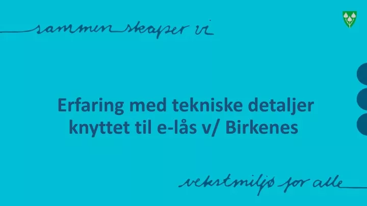 erfaring med tekniske detaljer knyttet til e l s v birkenes