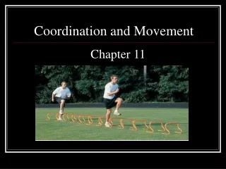 Coordination and Movement