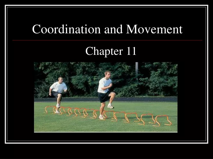 coordination and movement