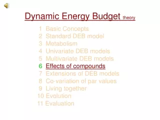 Dynamic Energy Budget  theory