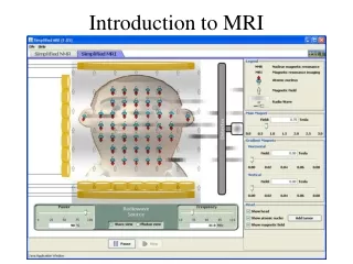 Introduction to MRI