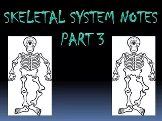 SKELETAL SYSTEM NOTES      	        PART  3