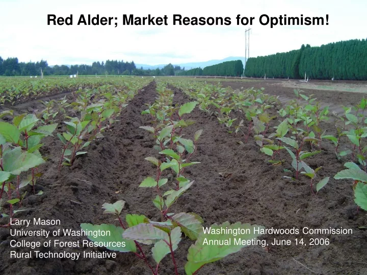 red alder market reasons for optimism