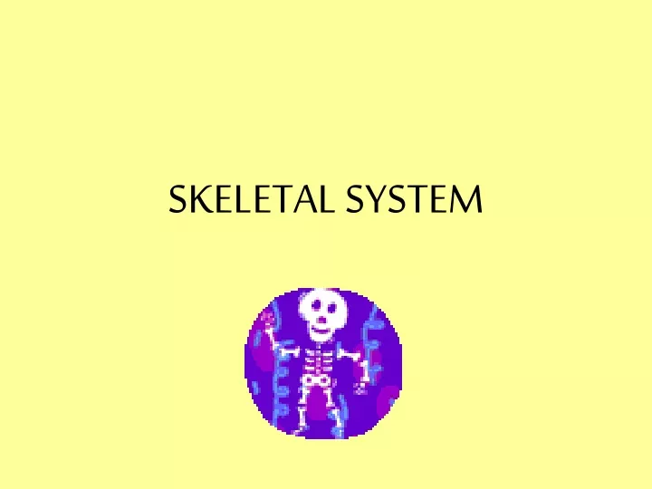 skeletal system