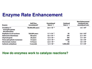 Enzyme Rate Enhancement