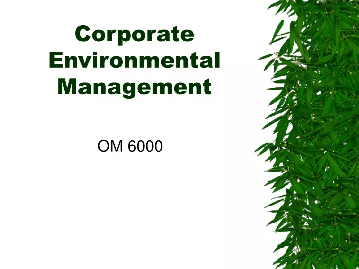 corporate environmental management