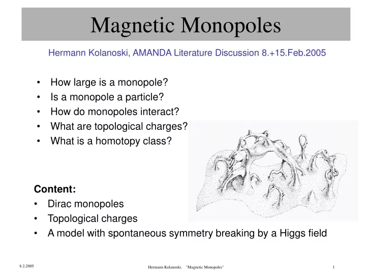 magnetic monopoles