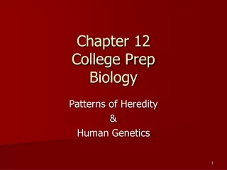 Chapter 12 College Prep Biology