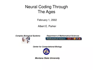 Neural Coding Through The Ages