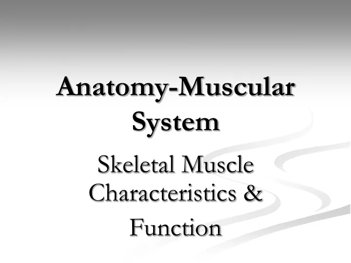 anatomy muscular system