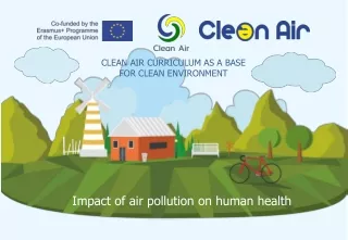 Impact of air pollution on human  healt h