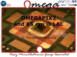 OMEGAPIX2 and 65 nm @ LAL