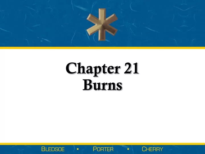 chapter 21 burns