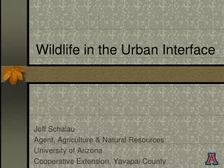 Wildlife in the Urban Interface