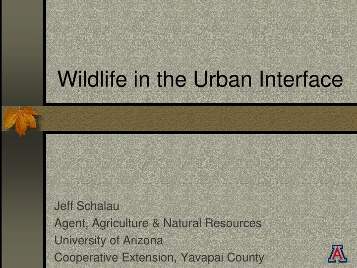 wildlife in the urban interface